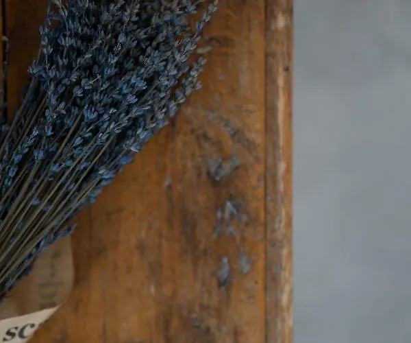 Kastro Mansion Pírgosz